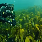 Ytterviks Rorbu Lofoten With Private Sauna 펜션 *