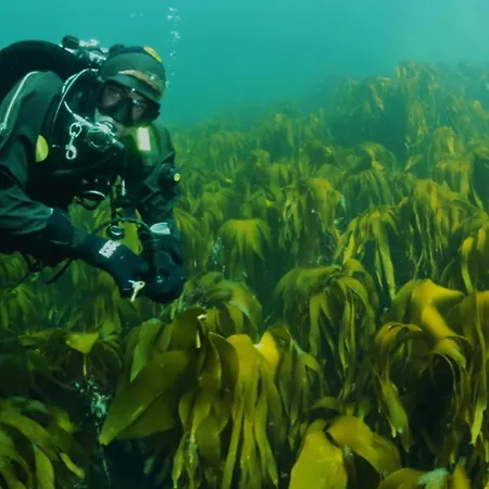 Ytterviks Rorbu Lofoten With Private Sauna Ferienhaus *
