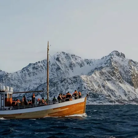 Ytterviks Rorbu Lofoten Private Sauna & Free Elektric Carcharging