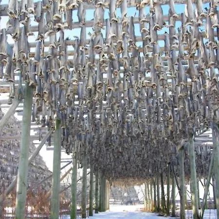 펜션 Ytterviks Rorbu Lofoten With Private Sauna 스탐순드