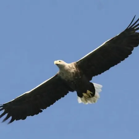 펜션 Ytterviks Rorbu Lofoten With Private Sauna *