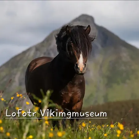 Ytterviks Rorbu Lofoten Private Sauna & Free Elektric Carcharging 度假居 *