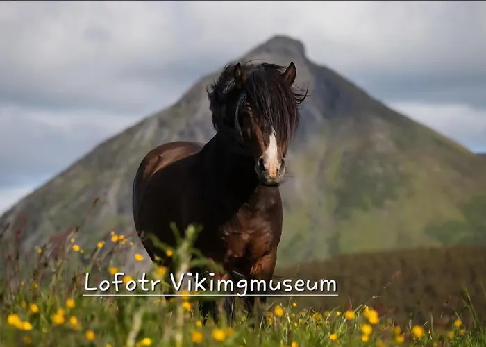 Ytterviks Rorbu Lofoten With Private Sauna بيت للعطل *